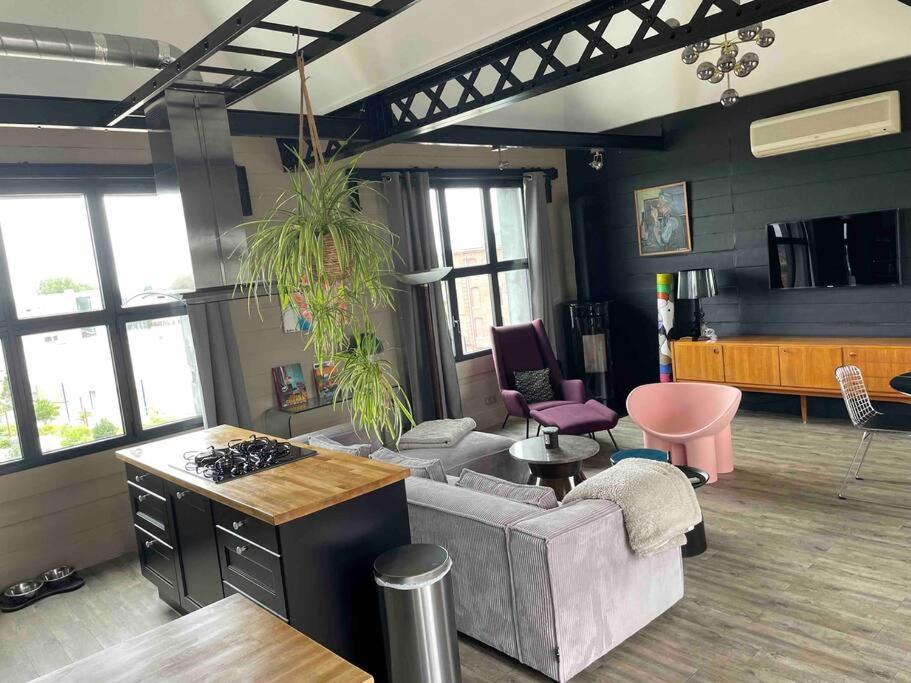 Loft Sur Les Toits De Appartement